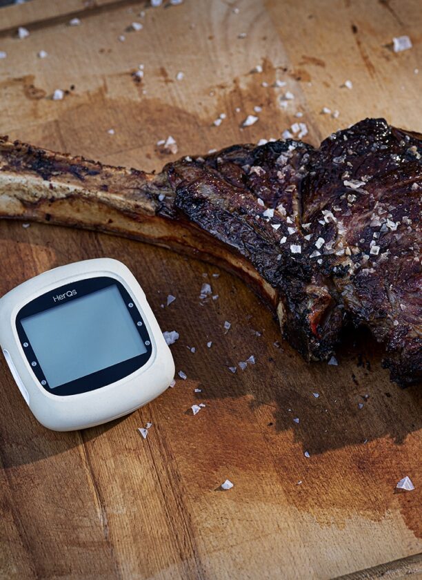 HerQs EasyBBQ Smart Thermometer